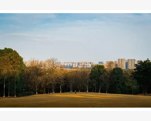 B2B技术架构从底层逻辑到业务落地