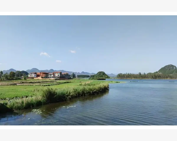 化痰通络：中医的智慧与健康之道
