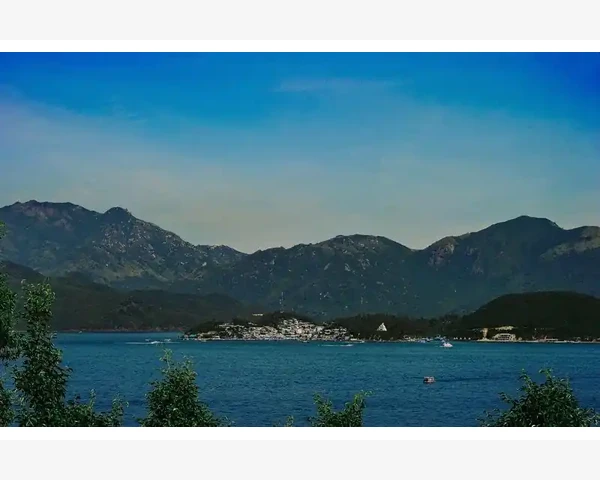 泡水喝的神奇功效：清肺化痰排肺毒